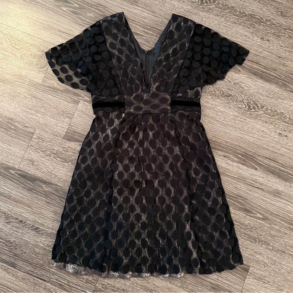 Anna Sui Polka Dot Dress
